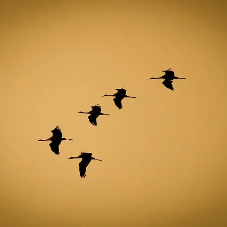 Atardeceres D'aragon * Fontellas (Aragon)