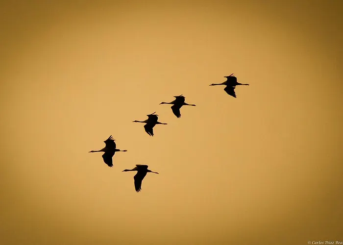 Atardeceres D'aragon * Fontellas (Aragon)